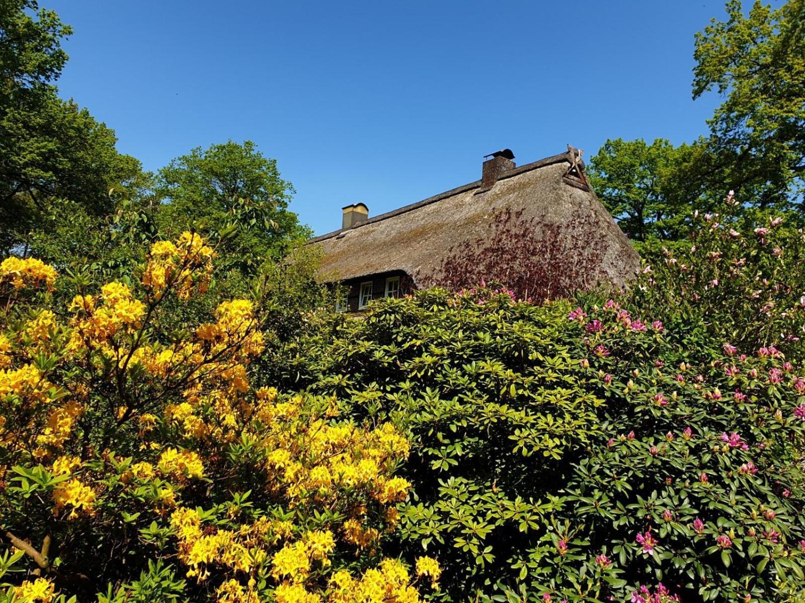 Hof Lindemann Villa Schneverdingen Eksteriør bilde
